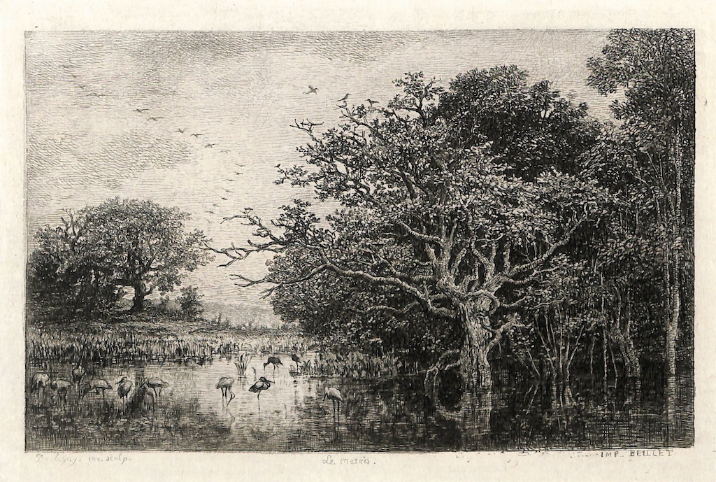 Gravure Originale Daubigny - Eau-forte "Le Marais Aux Cigognes En Alsace", XIXe Siècle